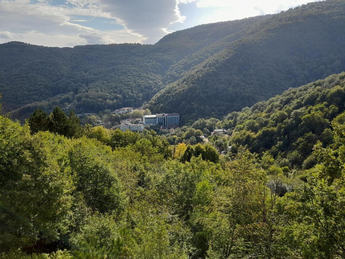 Turkish Retreat Bed and Breakfast Saadet Εξωτερικό φωτογραφία